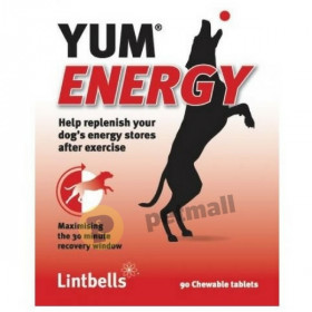 Хранителна добавка YUM ENERGY 90 Броя – овкусени таблетки, осигуряващи енергия преди или след натоварване